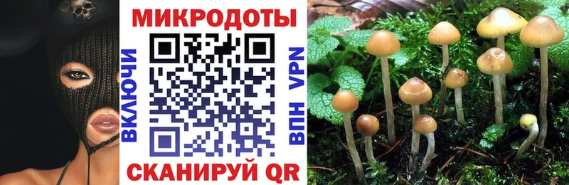 Псилоцибиновые грибы мицелий  даркнет Telegram  Собинка  цены  